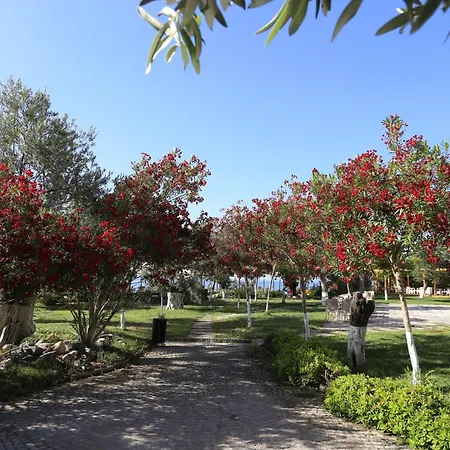 Hotel Rawda 3*