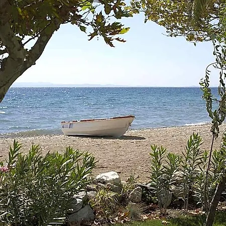Rawda 3* Altinoluk